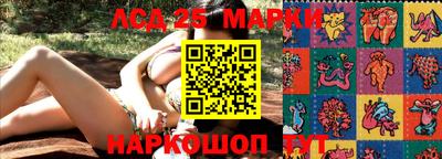 крисы Коммунар