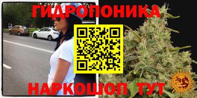 крисы Коммунар