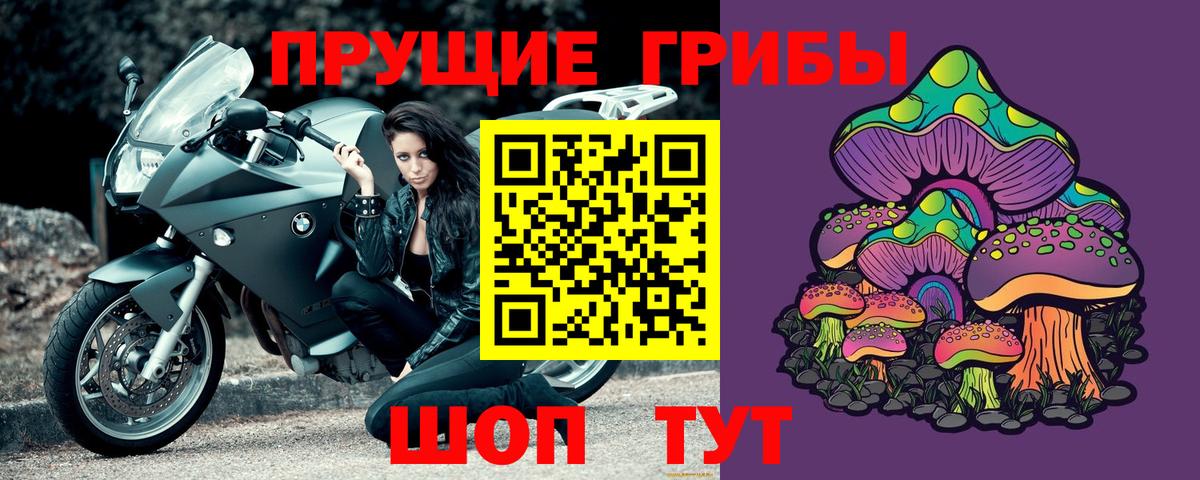 Галлюциногенные грибы Psilocybe Заволжье
