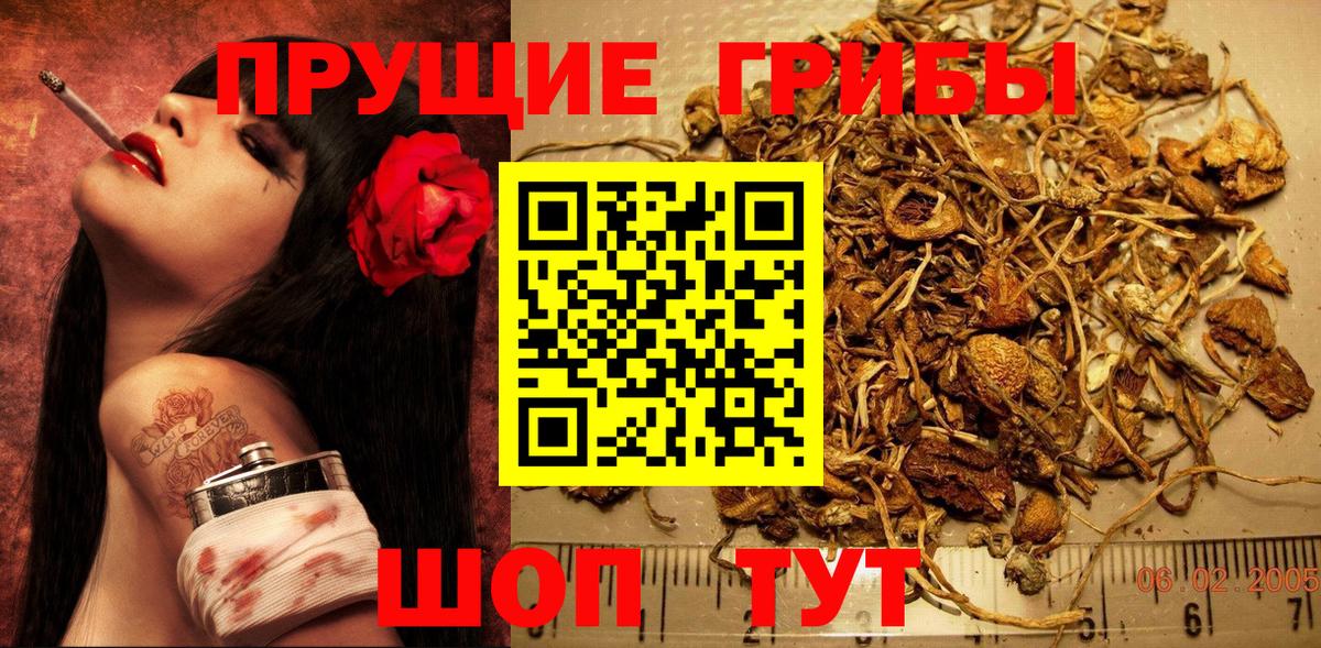 Галлюциногенные грибы ЛСД  Псилоцибиновые грибы GOLDEN TEACHER  Вход с VPN  Заволжье 